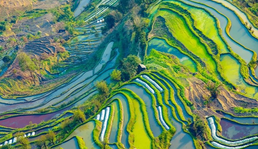 月湖区产品视频拍摄